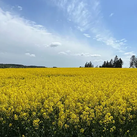 Apartamento 2 Klangweberei Im Frankenwald
