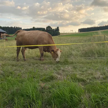 2 Klangweberei Im Frankenwald Apartamento Helmbrechts