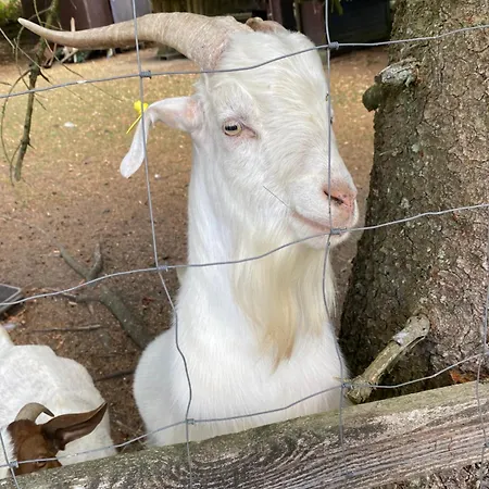 2 Klangweberei Im Frankenwald Helmbrechts
